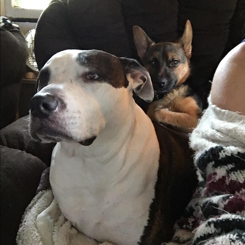 Meet your Posher, Ms